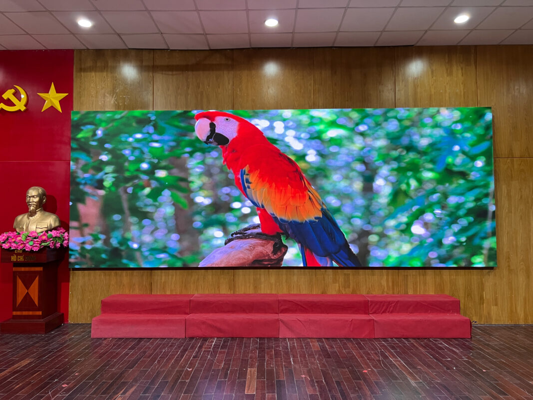 Màn hình LED chất lượng cao