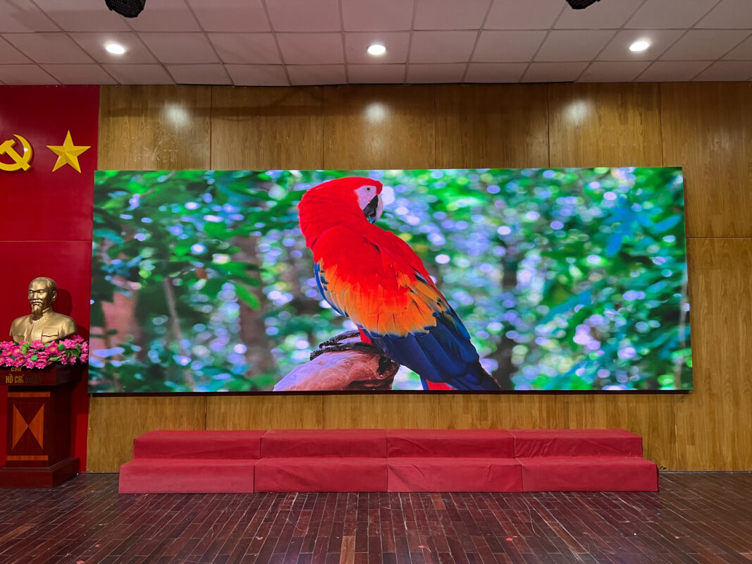 Màn hình LED đẹp