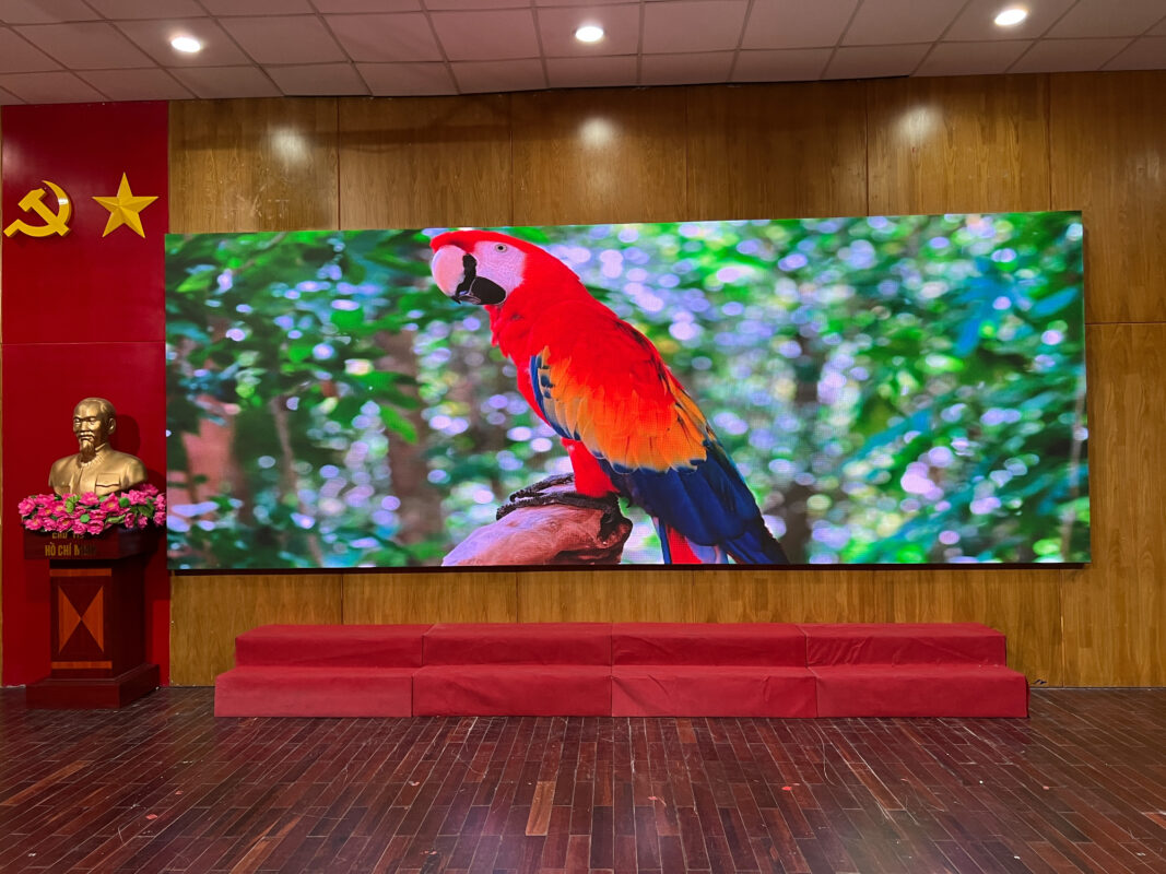 Màn hình LED trình chiếu