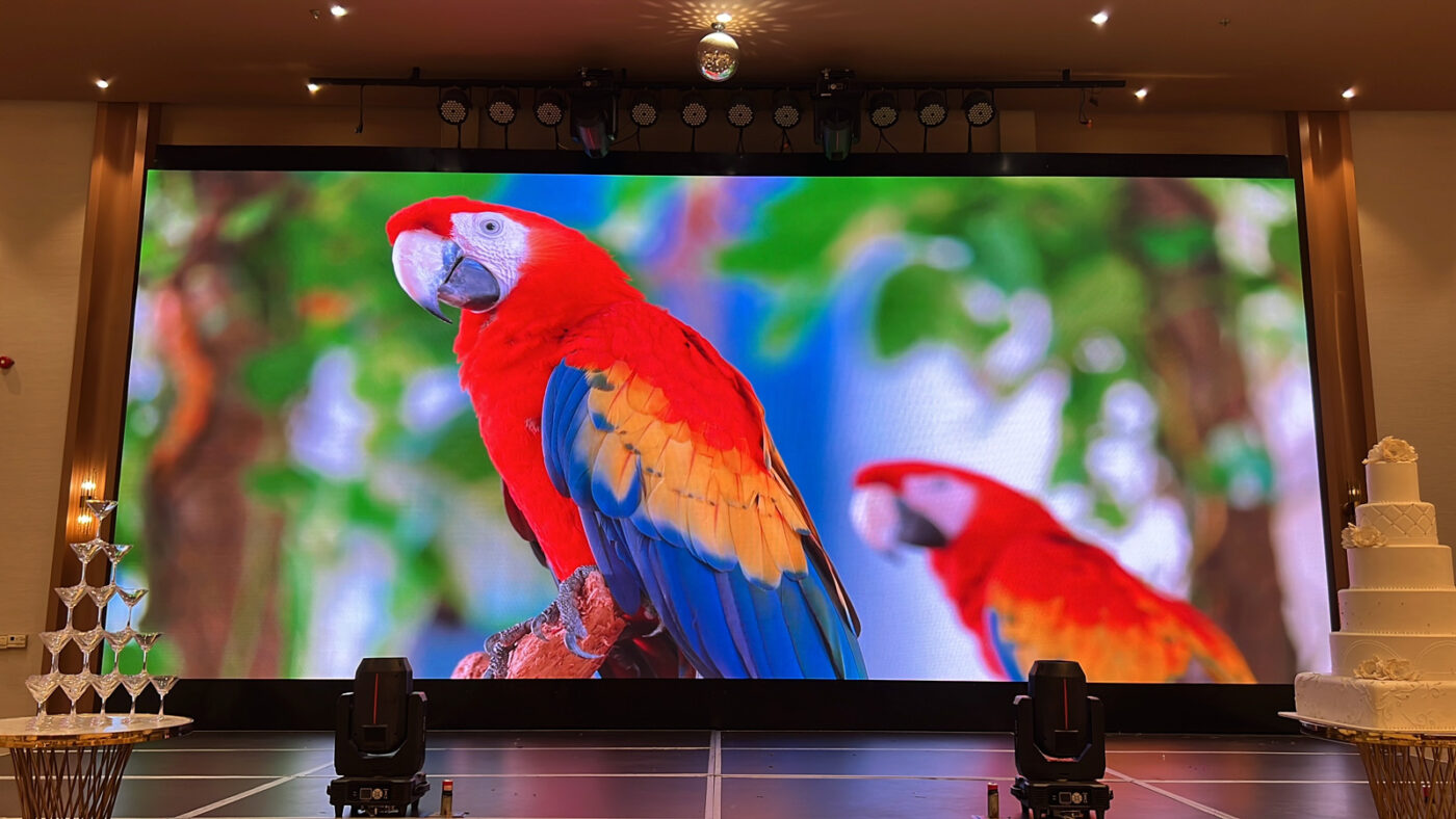 Dự án màn hình LED cỡ lớn cho trung tâm hội nghị – tiệc cưới Capella. 16 Màn hình LED 4K.
